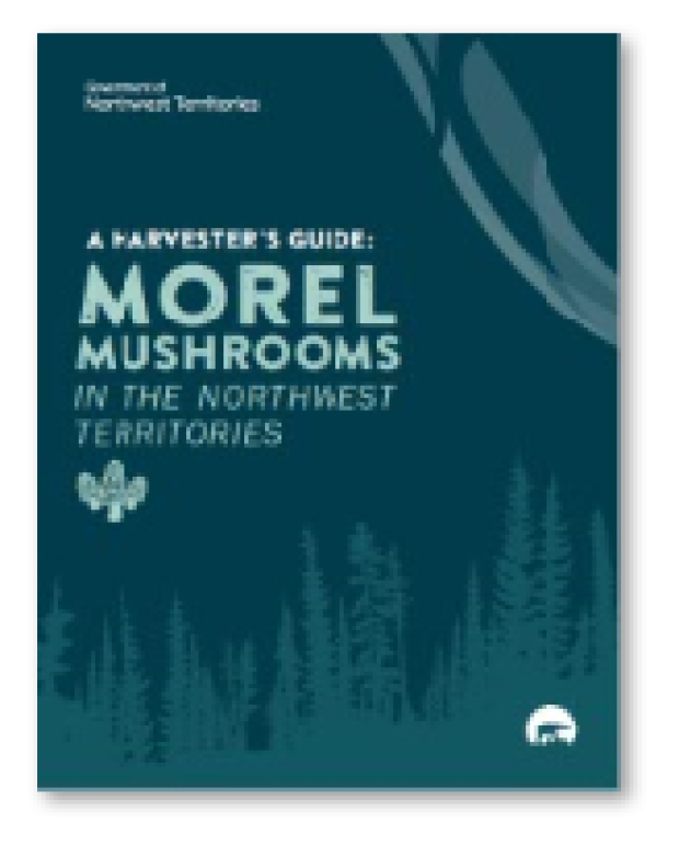 Morel Guide