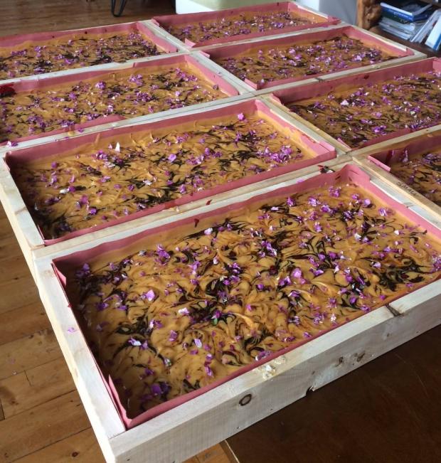 Laughing LIchen Cranberries hardening in moulds