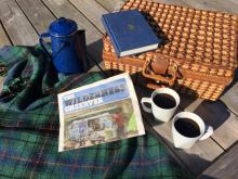 The Wilderness Observer - Scenes and Stories From NWT Parks