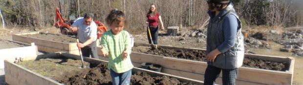 Behchoko Greenhouse Raising 