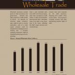 Sector Review - Wholesale (2011)